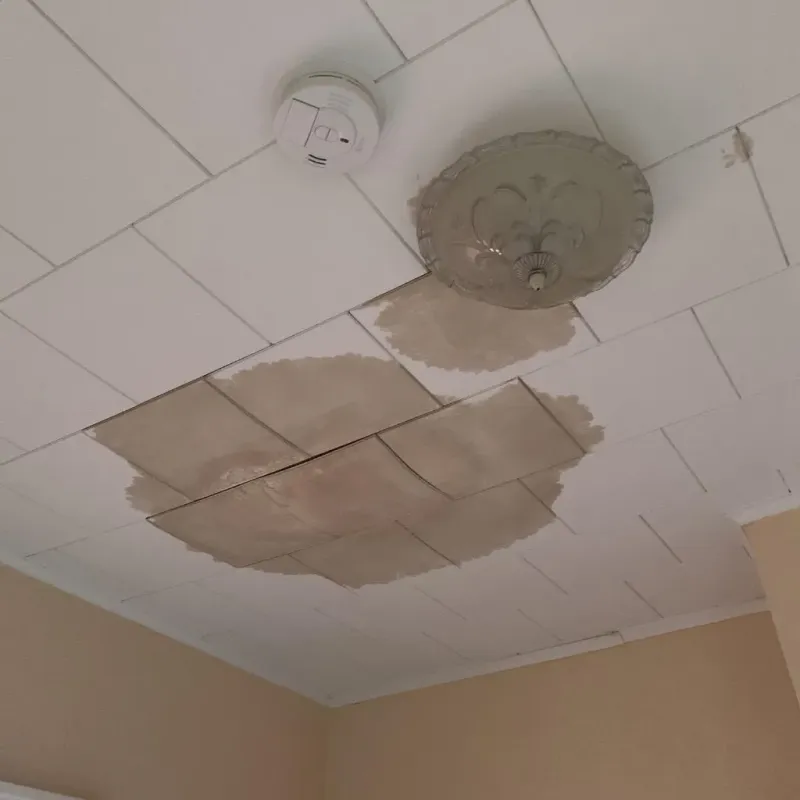 Ceiling Water Damage Repair in Woodville, WI