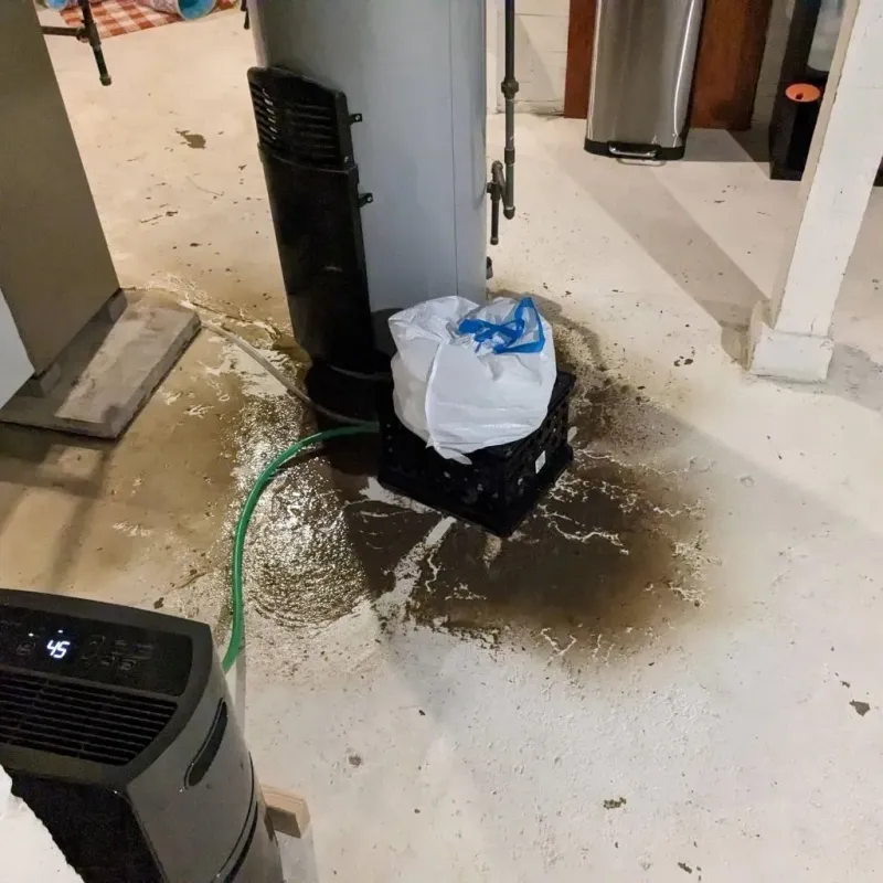 Sewage Backup Cleanup Service in Woodville, WI